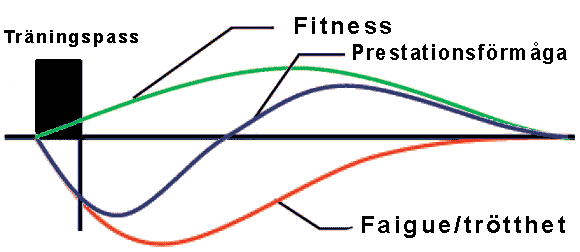 Fitness Fatigue modellen